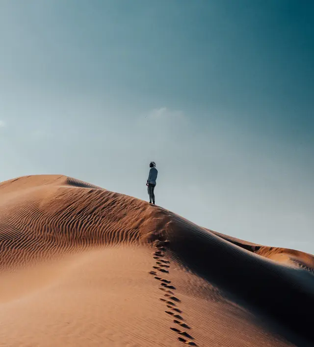 Cinematic Shot 15